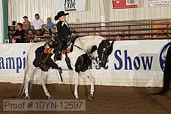 10yn-12597 proof