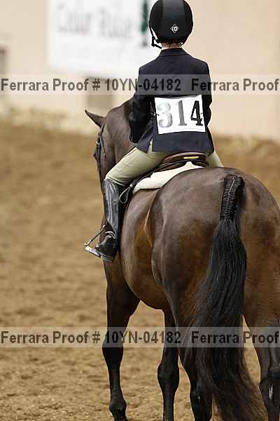 Proof 10yn-04182