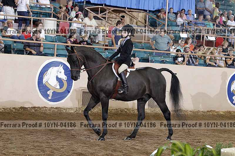 Proof 10yn-04186