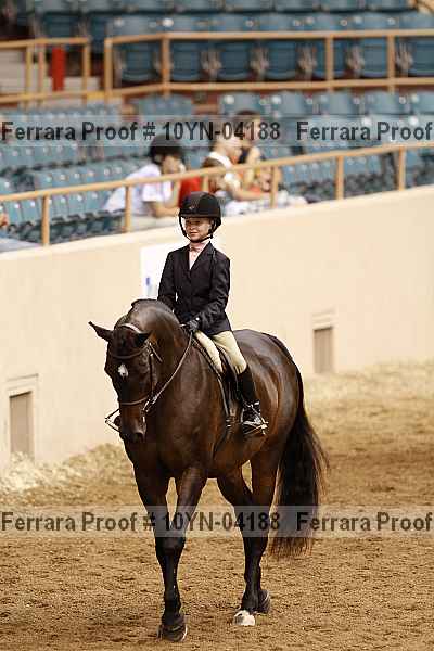 Proof 10yn-04188