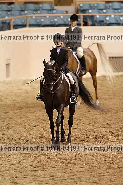 Proof 10yn-04190