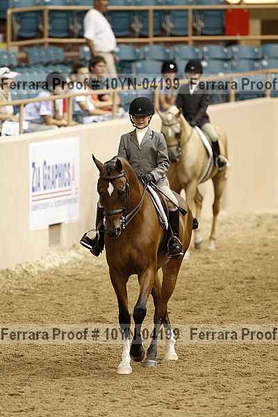 Proof 10yn-04199