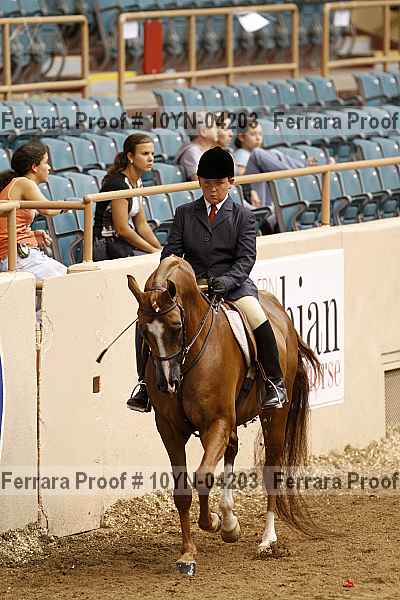 Proof 10yn-04203