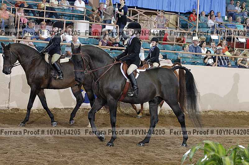 Proof 10yn-04205