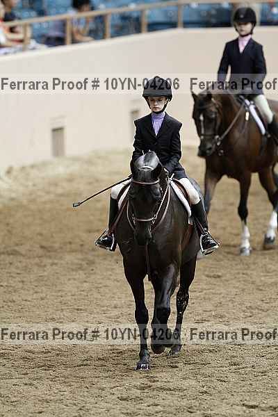 Proof 10yn-04206