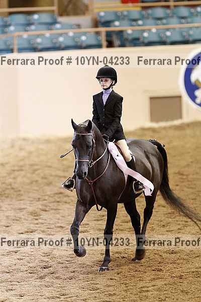 Proof 10yn-04233