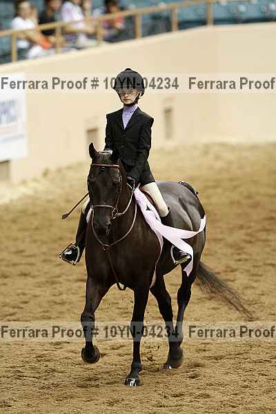 Proof 10yn-04234