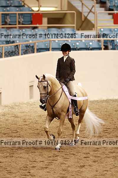 Proof 10yn-04245