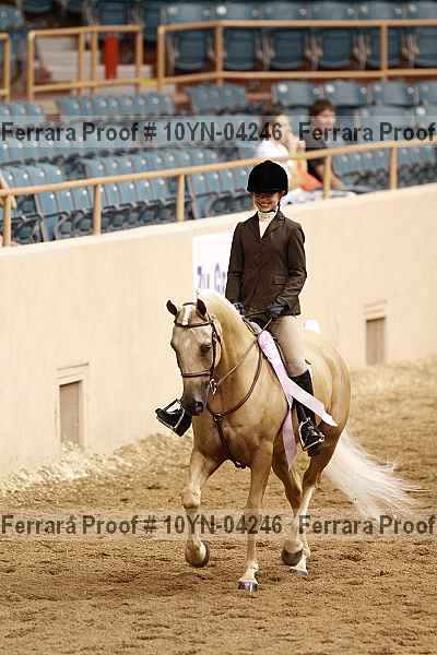 Proof 10yn-04246