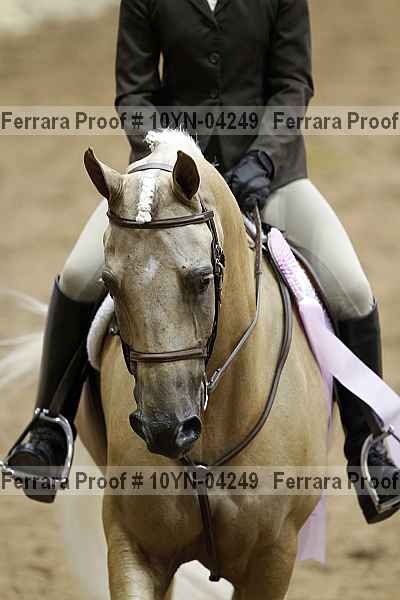 Proof 10yn-04249