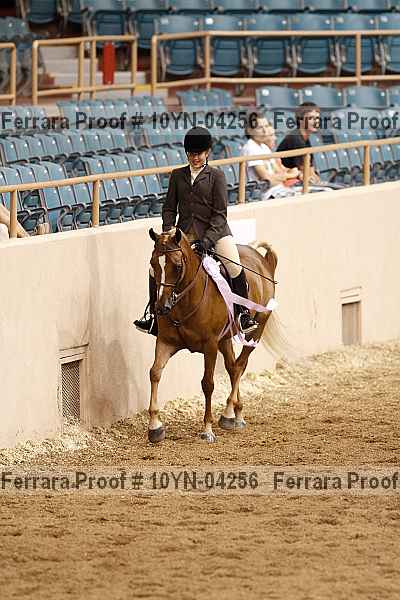 Proof 10yn-04256