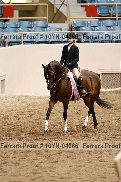 Proof 10yn-04266