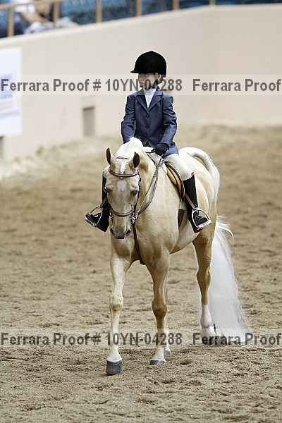 Proof 10yn-04288