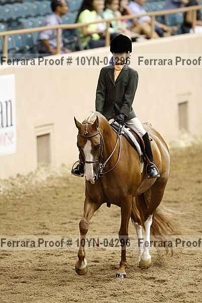 Proof 10yn-04296