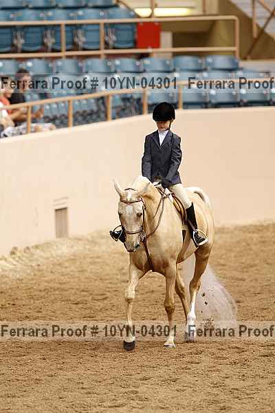 Proof 10yn-04301