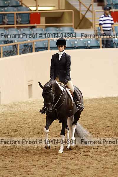 Proof 10yn-04304