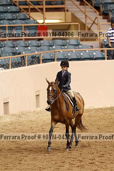 Proof 10yn-04306