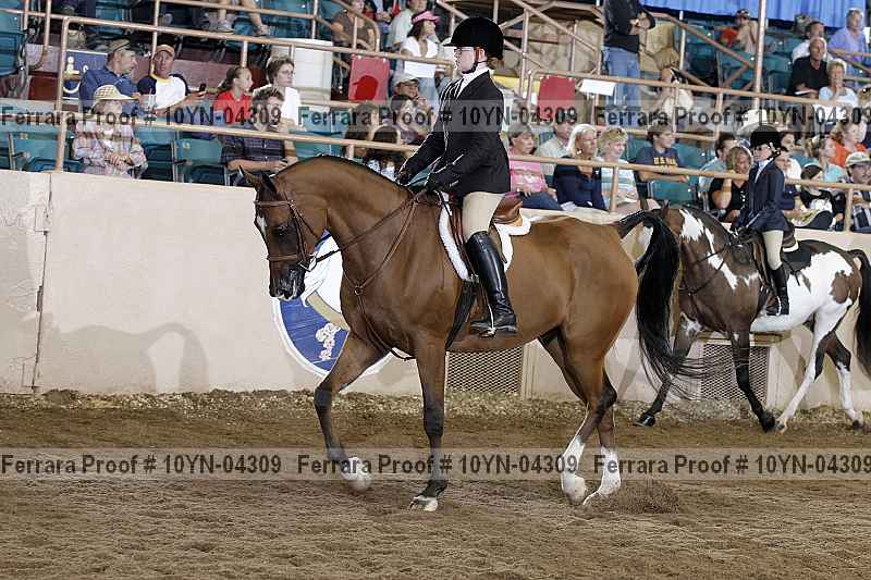 Proof 10yn-04309