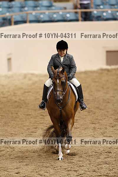 Proof 10yn-04311