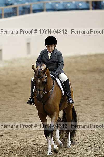 Proof 10yn-04312