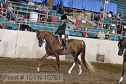 10yn-10761 proof
