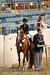 10yn-10803 proof