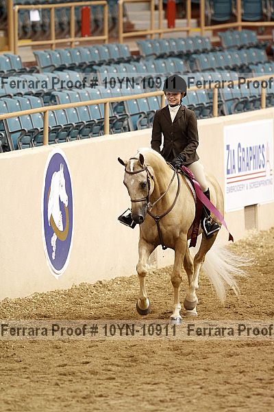 Proof 10yn-10911