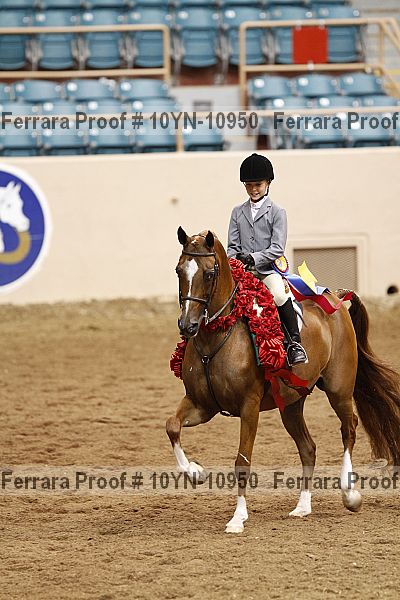 Proof 10yn-10950