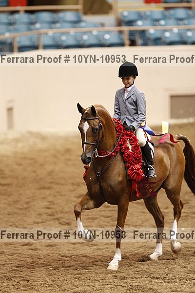 Proof 10yn-10953
