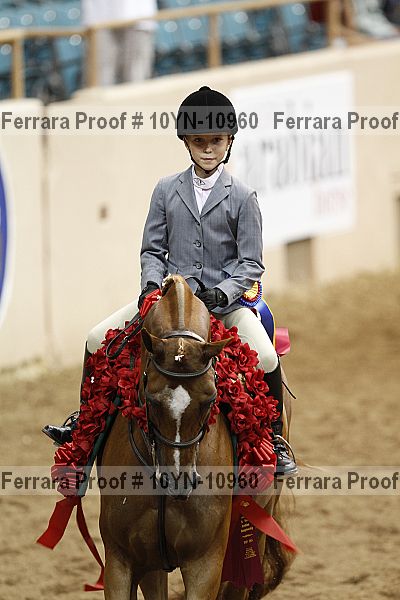 Proof 10yn-10960