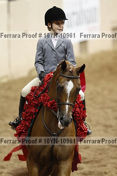 Proof 10yn-10961