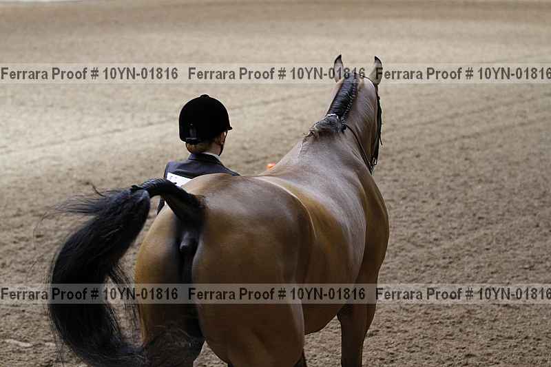Proof 10yn-01816