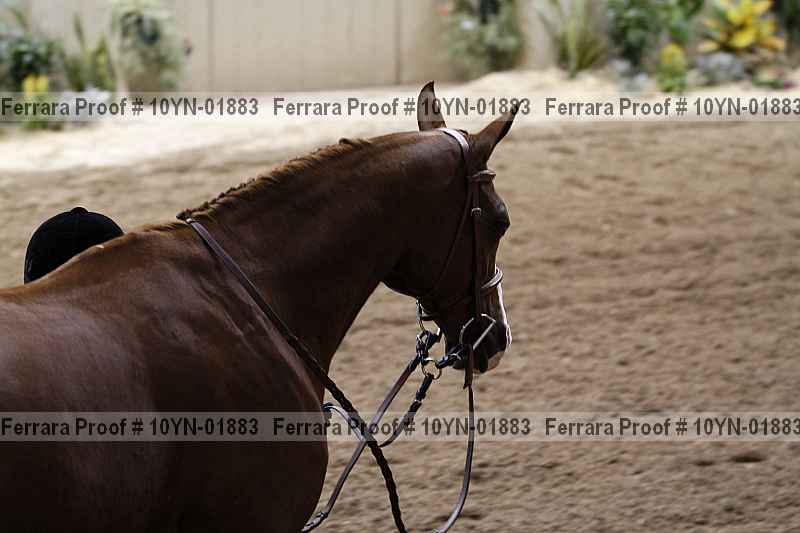 Proof 10yn-01883