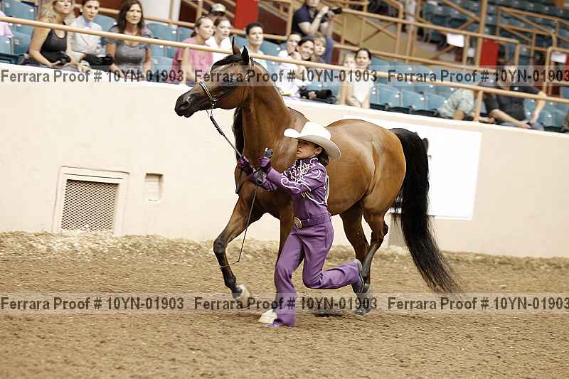 Proof 10yn-01903
