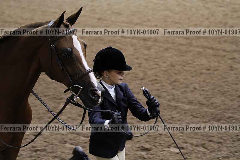Proof 10yn-01907