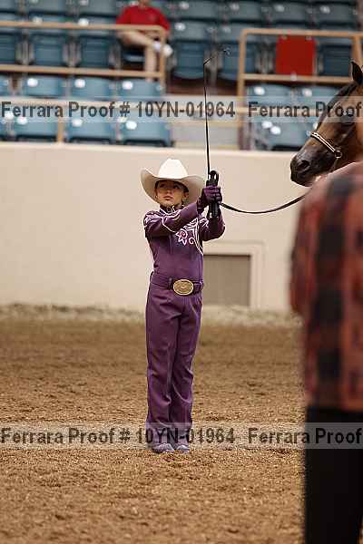 Proof 10yn-01964