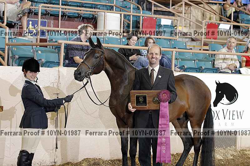 Proof 10yn-01987