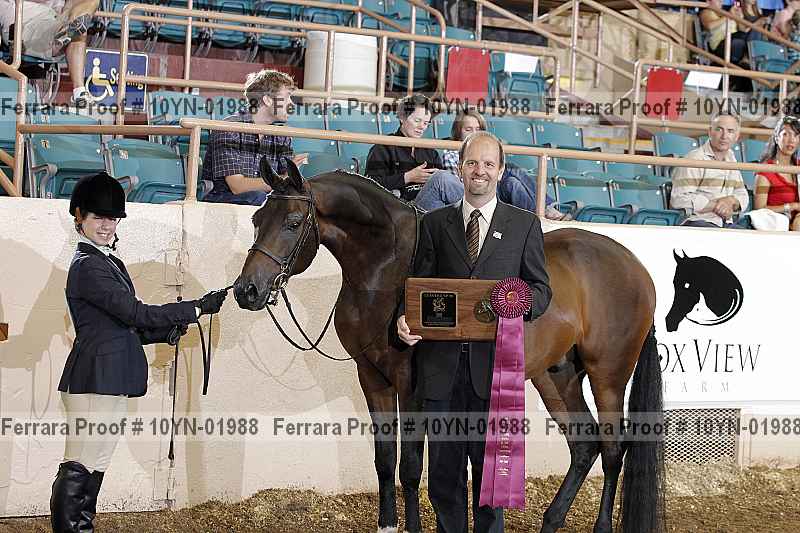 Proof 10yn-01988