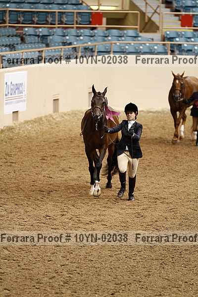 Proof 10yn-02038