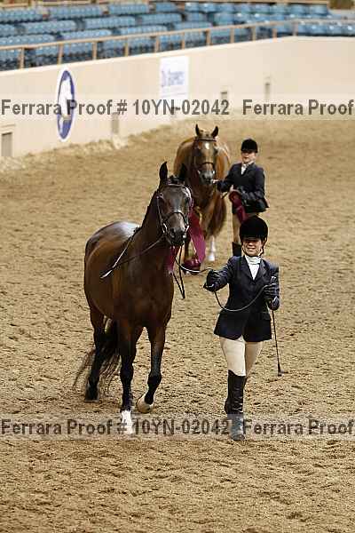 Proof 10yn-02042