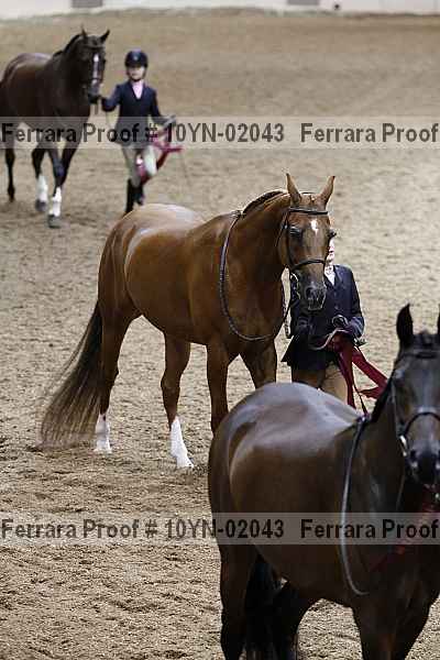 Proof 10yn-02043