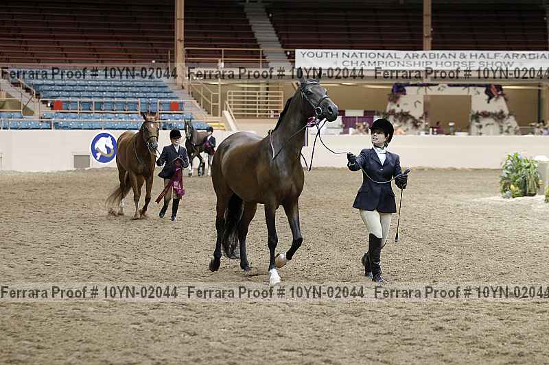 Proof 10yn-02044