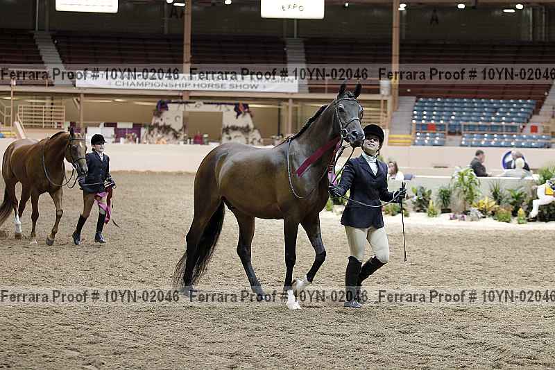 Proof 10yn-02046