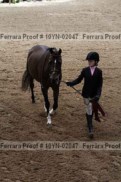 Proof 10yn-02047