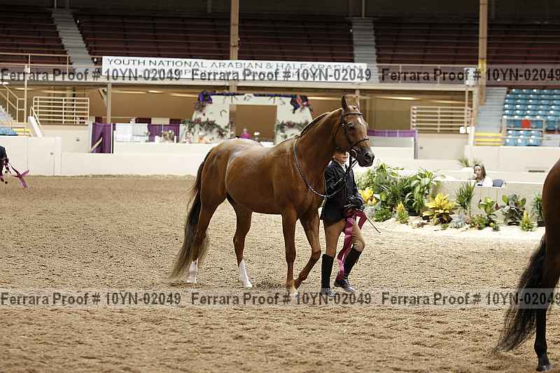 Proof 10yn-02049