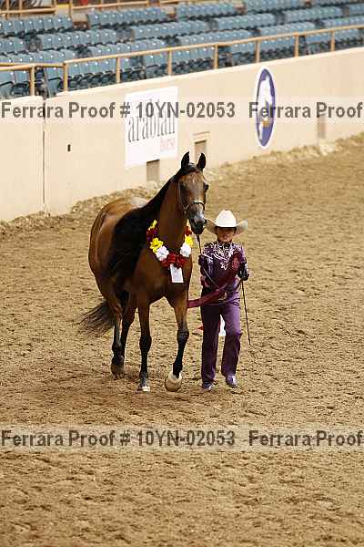 Proof 10yn-02053