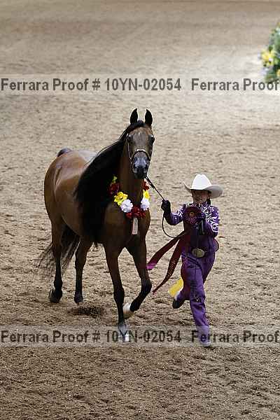 Proof 10yn-02054