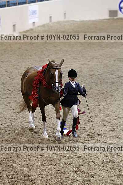 Proof 10yn-02055