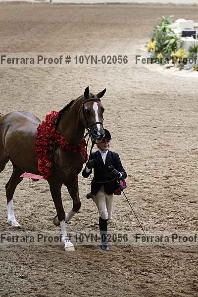 Proof 10yn-02056