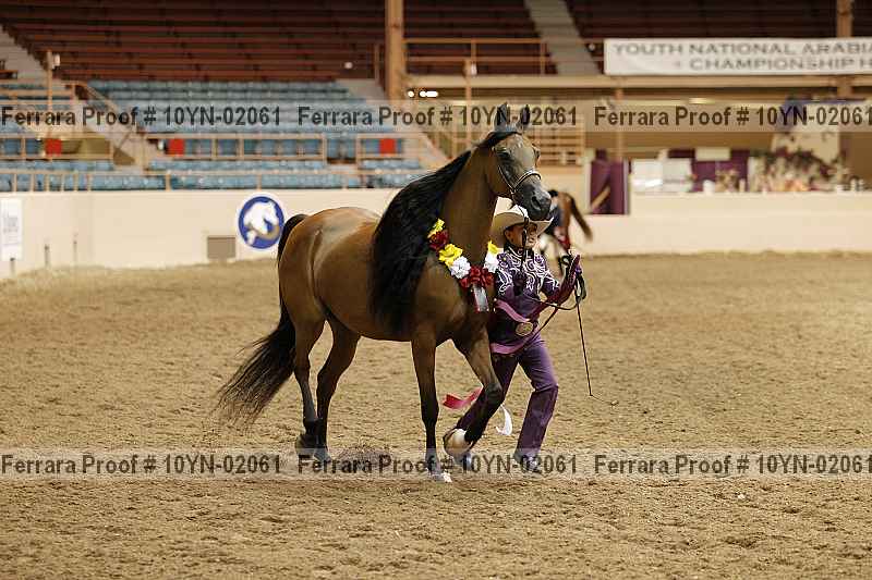 Proof 10yn-02061